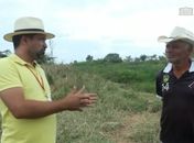 Prefeitura de Penedo apoia e orienta produção de leite de gado
