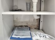 Mofo, falta de água e lixo: laboratório de análises clínicas é interditado pela Vigilância Sanitária