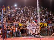 Festival Bumba meu boi: confira os grupos que se apresentam neste domingo (03)