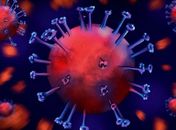 Brasil é o único país que após 100 dias de Covid-19 não achatou a curva