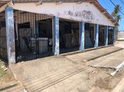 Local onde os gatos estão na Barra Nova