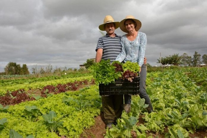Aprovadas linhas emergenciais de crédito para atingidos por chuvas