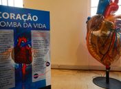 Internações por infarto aumentam mais de 150% no Brasil, aponta levantamento