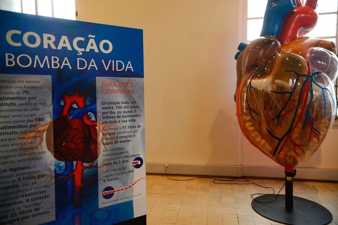 Internações por infarto aumentam mais de 150% no Brasil, aponta levantamento