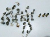 Material apreendido pelas equipes de Força Tática e GPM do município