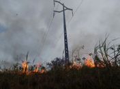 Interrupções no fornecimento de energia elétrica ocasionadas por queimadas em canaviais aumentaram 29,36%, em 2024