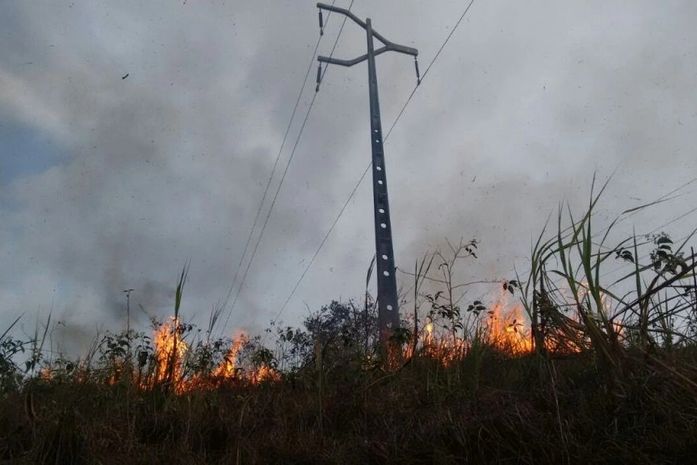 Interrupções no fornecimento de energia elétrica ocasionadas por queimadas em canaviais aumentaram 29,36%, em 2024