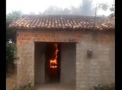 Mulher tenta queimar abelhas e incendeia residência na zona rural de Craíbas