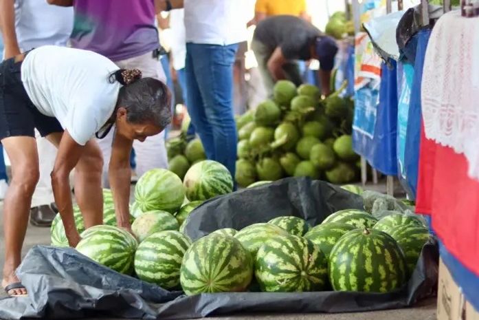 Matriz de Camaragibe movimenta a economia com a 3ª Feira da Agricultura Familiar