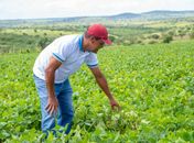 Prefeitura de Girau do Ponciano anuncia pagamento do Garantia Safra aos agricultores do município