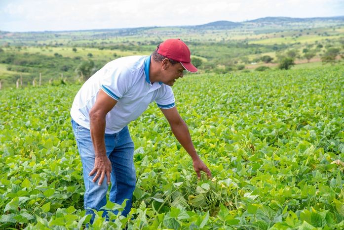 Prefeitura de Girau do Ponciano anuncia pagamento do Garantia Safra aos agricultores do município