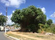 Área do Conjunto José Tenório