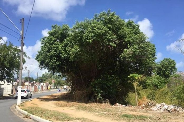 Área do Conjunto José Tenório