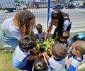 Autarquia de Limpeza Urbana promove ações sustentáveis em alusão à Semana da Árvore