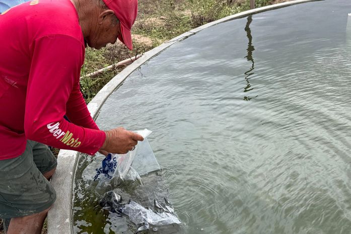 Mais de 500 famílias são beneficiadas com alevinos distribuídos pelo Governo de Alagoas