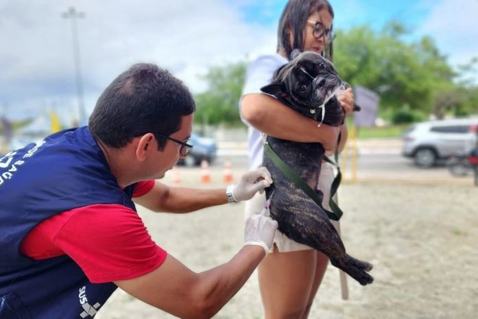 Arapiraca inicia campanha de vacinação antirrábica na próxima terça (19); confira o cronograma