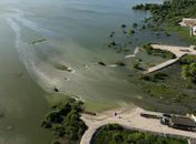 Ufal e IMA vão apresentar dados relativos à qualidade de água da Laguna Mundaú