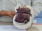 Hemoal promove coletas externas de sangue em Arapiraca e Maceió nesta terça-feira (12)