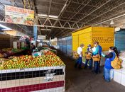 Mercado da Produção e feiras recebem serviços de desratização e dedetização