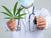 Novas regras da Anvisa ampliam acesso à cannabis medicinal e beneficiam pacientes em AL