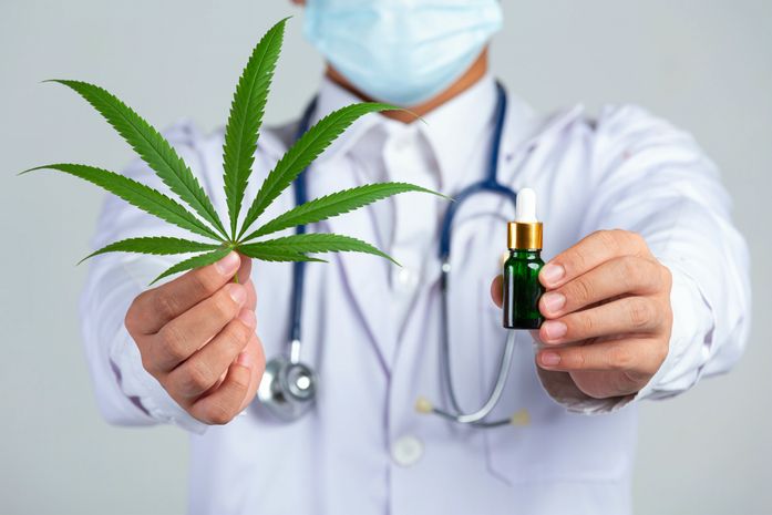 Novas regras da Anvisa ampliam acesso à cannabis medicinal e beneficiam pacientes em AL