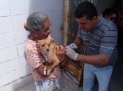 Cães e Gatos devem ser vacinados dos dias 24 a 29 de setembro, em Maceió