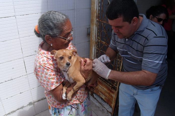Cães e Gatos devem ser vacinados dos dias 24 a 29 de setembro, em Maceió