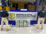 No sertão, PRF apreende 50kg de maconha que seriam entregues em Maceió