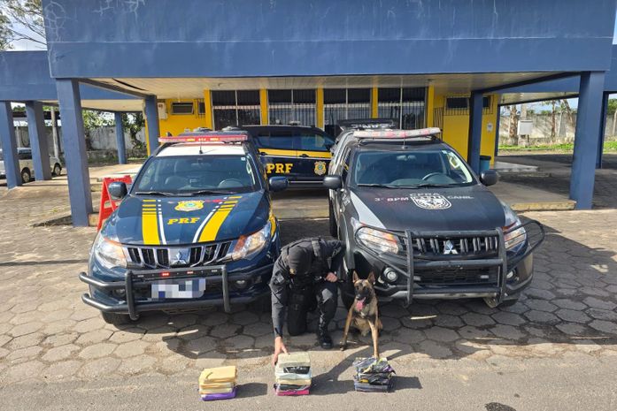Mulher é presa com mais de 15 kg de maconha dentro de mala, em ônibus interestadual