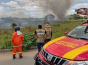Incêndio em vegetação as margens da AL-220 mobiliza equipe do Grupamento do Corpo de Bombeiros em Arapiraca 