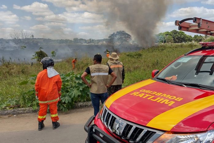 Incêndio em vegetação as margens da AL-220 mobiliza equipe do Grupamento do Corpo de Bombeiros em Arapiraca