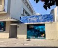 Procon Alagoas