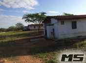 Polícias realizam buscas em fazenda onde bandido foi encontrado morto em Canapi