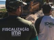 IMA enviou equipe ao local para verificar denúncia e está atuado no caso.