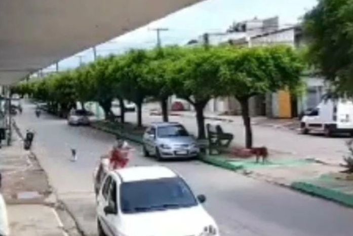 Menino em cavalo atinge traseira de carro