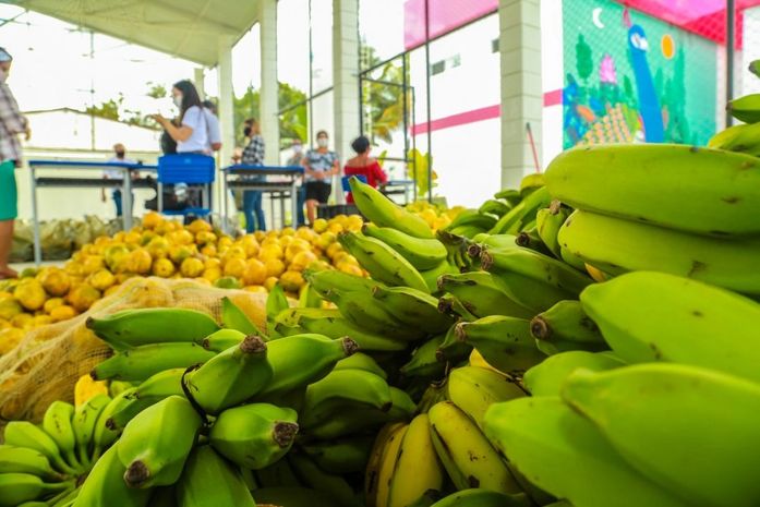 Prefeitura de Penedo já distribuiu mais de 140 toneladas de alimentos da agricultura familiar nas escolas