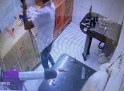 Procon aponta que clínica também poderá ser responsabilizada por morte de cachorro durante tosa