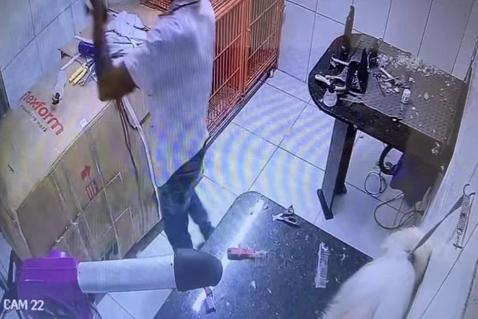 Procon aponta que clínica também poderá ser responsabilizada por morte de cachorro durante tosa