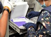 Covid-19: Sistema inovador já agendou mais de 300 pessoas para primeira dose da Pfizer