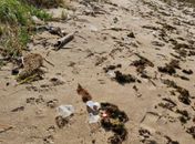 Correntes marinhas espalham lixo em praias de Porto de Pedras