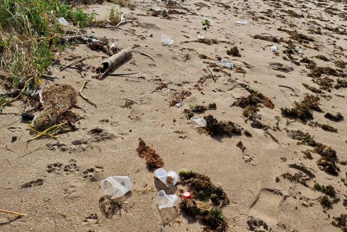 Correntes marinhas espalham lixo em praias de Porto de Pedras