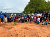 Secretaria de Meio Ambiente e Conasa realizam plantio de mil mudas nativas em Delmiro Gouveia

