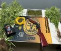 Polícia prende homem com plantação de maconha e apreende arma de fogo e cocaína
