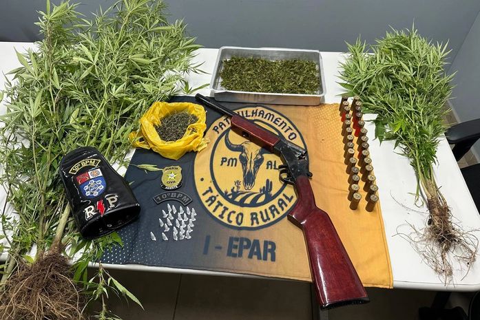 Polícia prende homem com plantação de maconha e apreende arma de fogo e cocaína