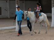 Complexo Multidisciplinar de Equoterapia Tarcizo Freire amplia atendimentos em Arapiraca 