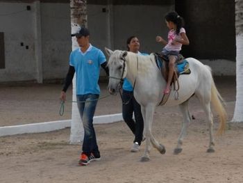 Resultado de imagem para complexo multidisciplinar tarcizo freire