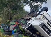 Motorista perde o controle e caminhão carregado de bananas tomba na AL-220, em São José da Tapera
