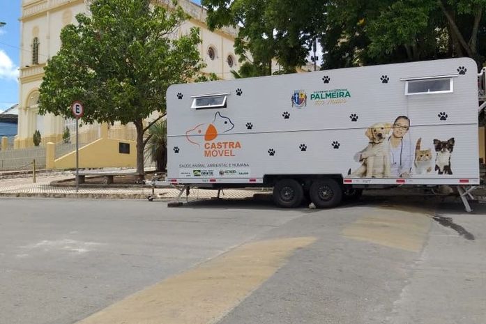 Programa Pet Amigo de Palmeira dos Índios é um dos finalistas ao prêmio Impactos Positivos