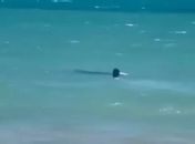 Pescador morre afogado na Praia de Ipioca, em Maceió