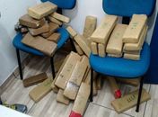 Após denúncia, PC apreende 59kg de maconha em ônibus que vinha de SP para o Agreste